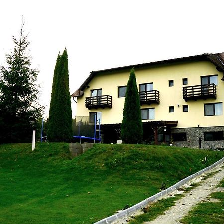 Vila Sohodol Travel Törcsvár Kültér fotó